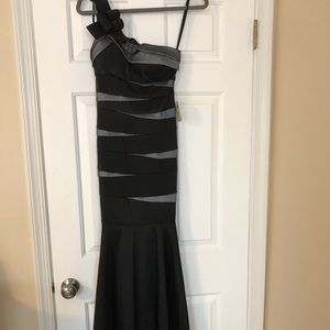 Full length fit and flare dress NWT